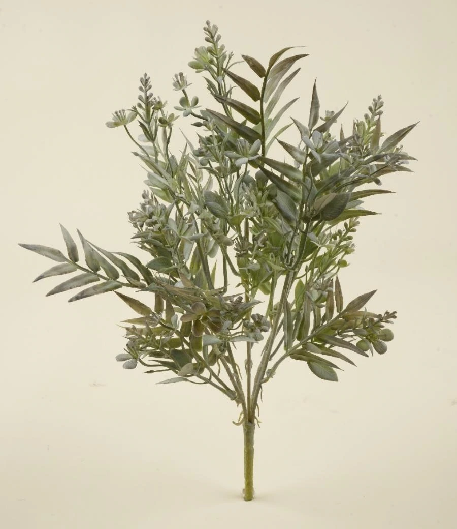 Mimosa Luna mix Green Bunch x 5